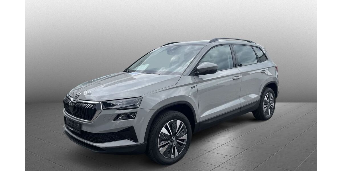 Skoda Karoq 2.971 km 29.890 &euro; Diez 65582