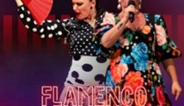 Flamenco Night - Flamanecomania Tour 26/27
